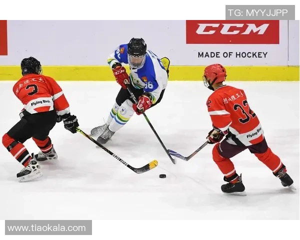 冰球突破挑战运气与技巧的完美结合，谁能在冰场上笑到最后